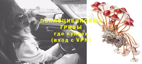 гидропоника Магас