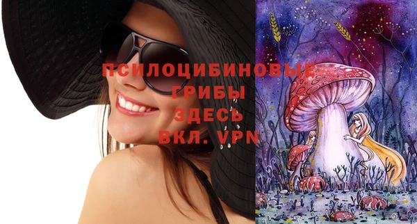гидропоника Магас